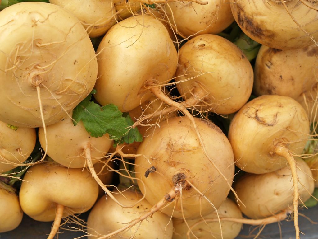 Gelbe Mairüben