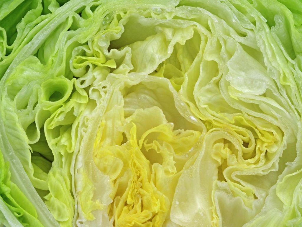 Eisbergsalat aufgeschnitten