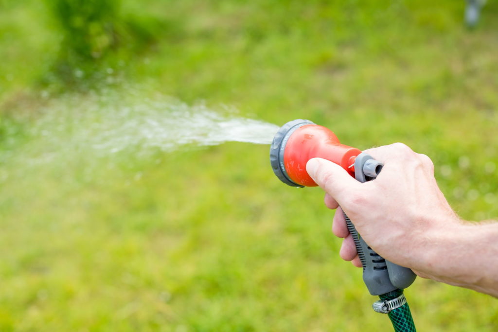Rasen wird mit Gartenschlauch bewässert
