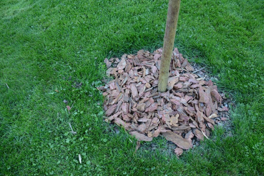 Mulchschicht