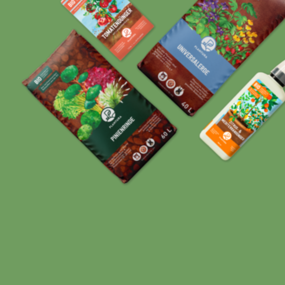 card shop