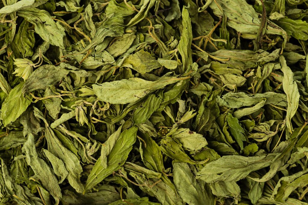 getrocknete Stevia-Blätter