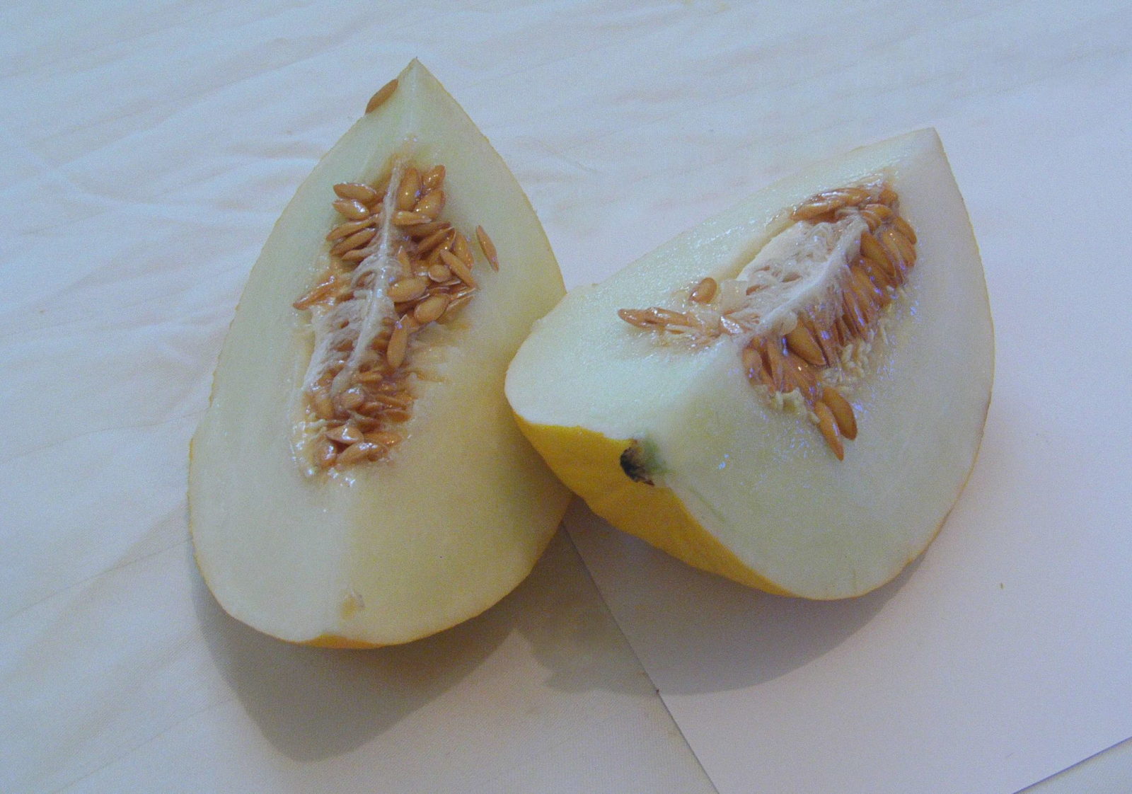 Melonen pflanzen Zuckermelonen, Honigmelonen und Co. selber anbauen