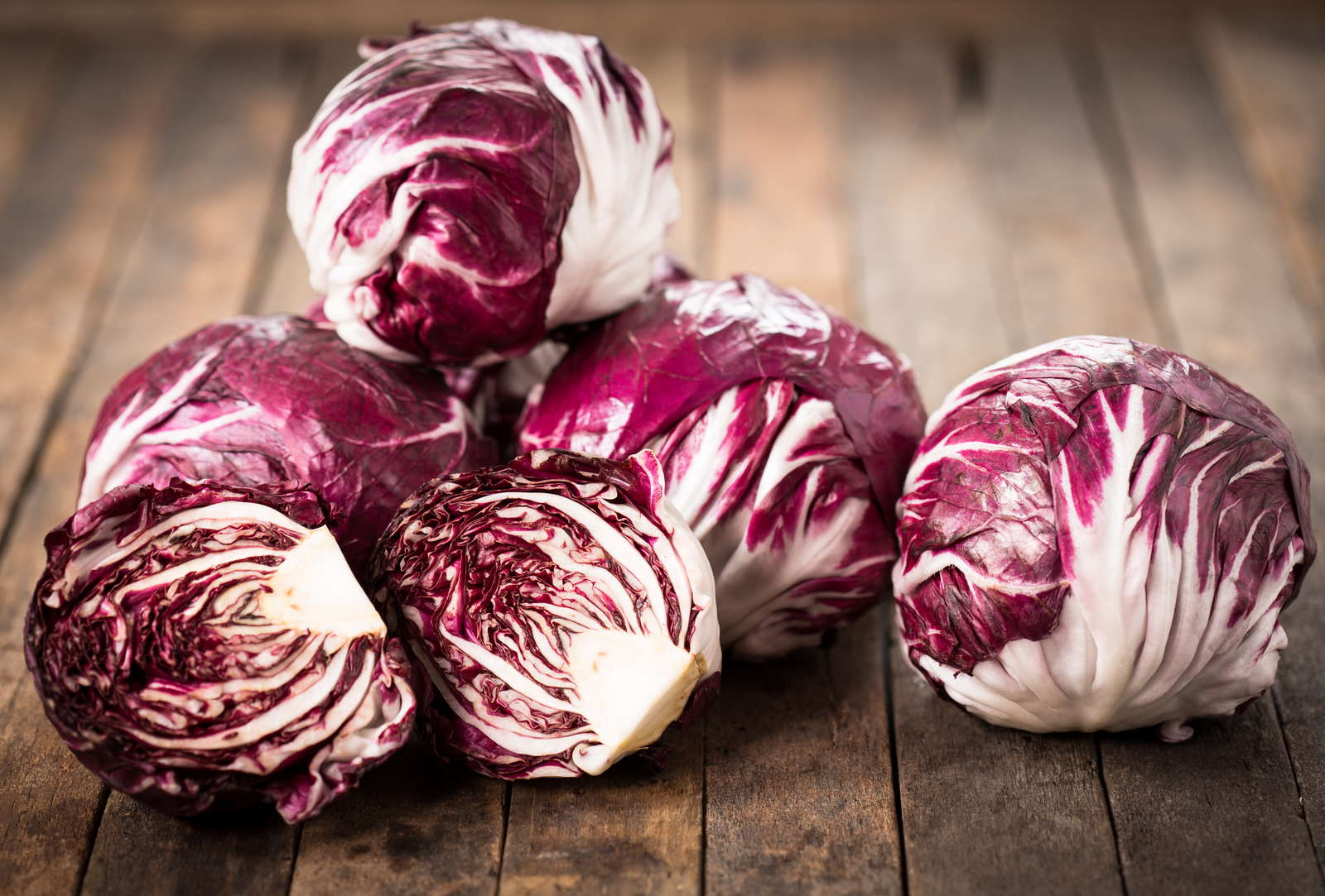 Radicchio: Profi-Tipps zum Anbauen &amp; Ernten des roten Salates - Plantura