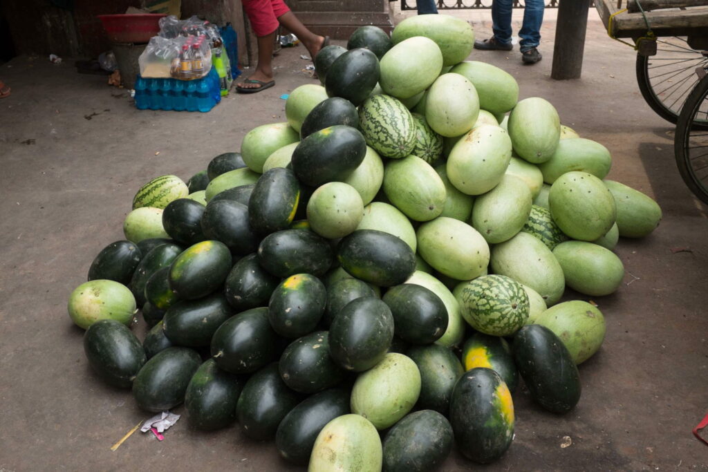Verschiedene Sorten MElonen Wassermelonen