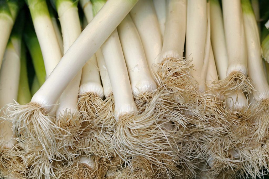 Lauch und Porree: gesundes und vitaminreiches Wintergemüse - Plantura