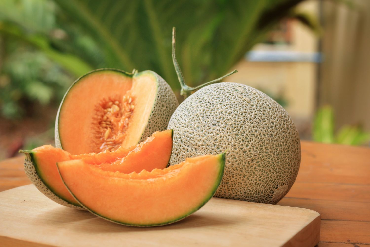 Ernten der Melone