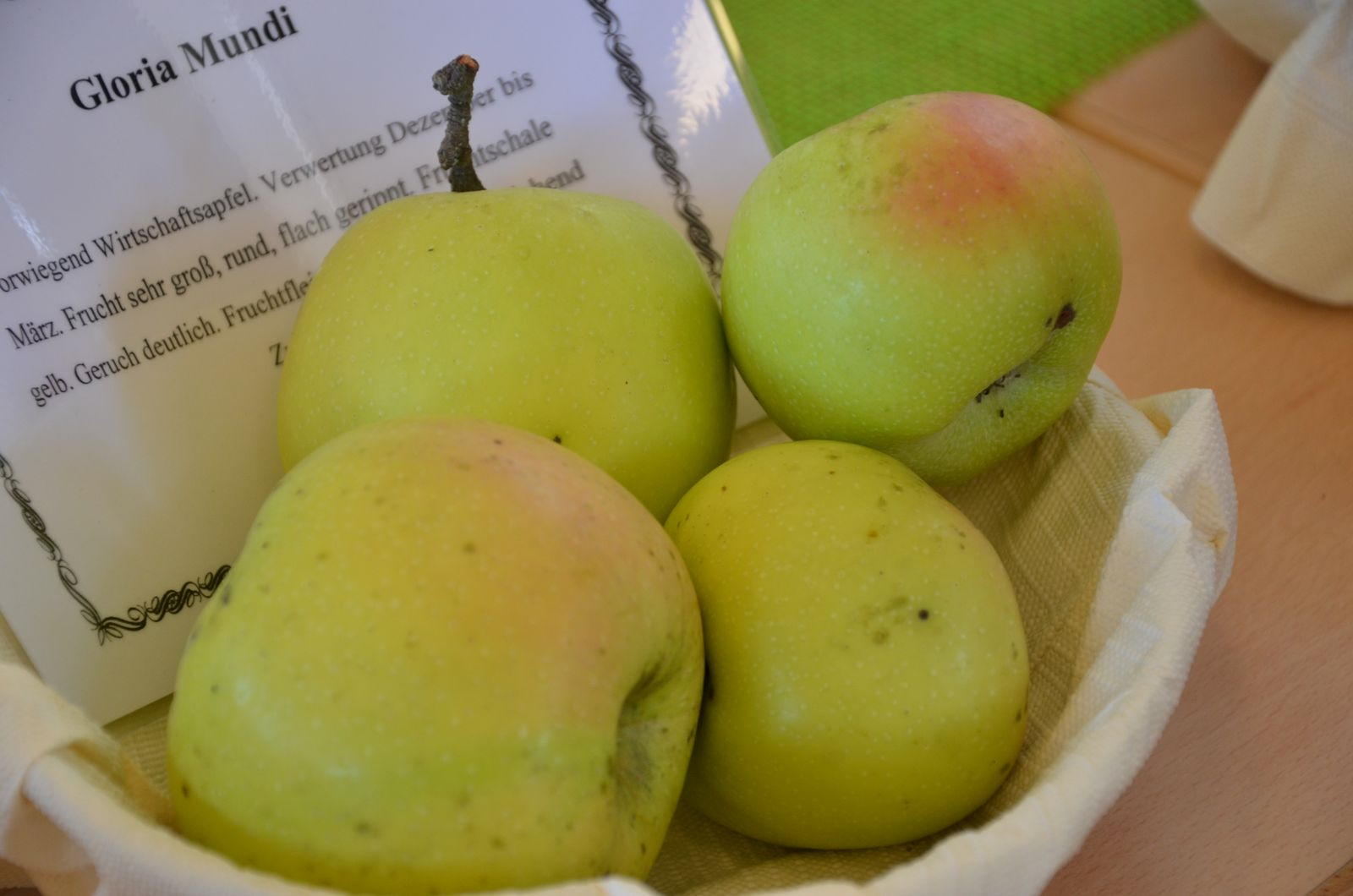 Apfel Gloria Mundi