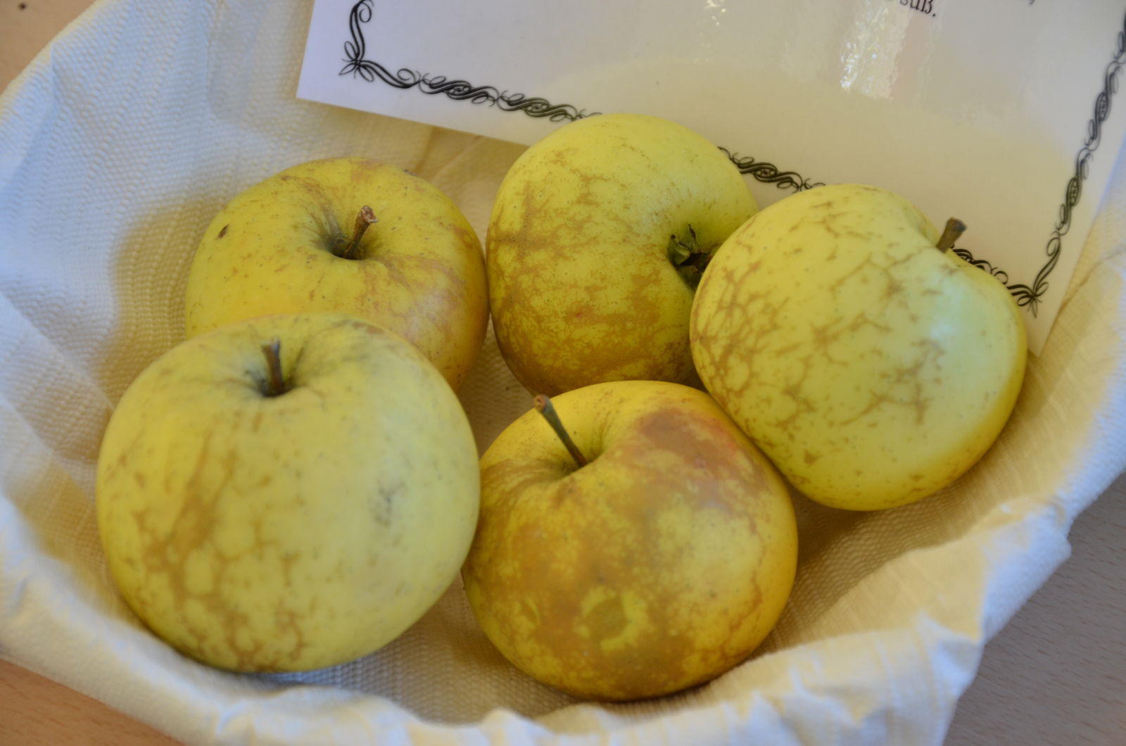 Apfel Wachsrenette von Benediktbeuren