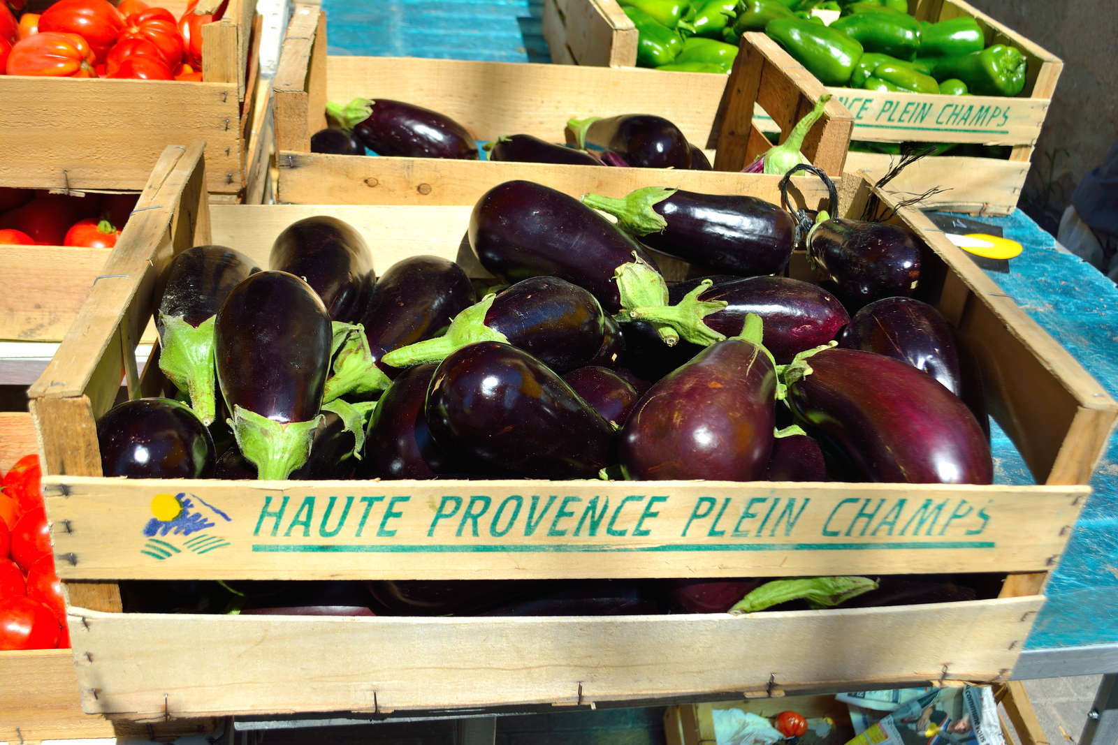 Die Thai-Aubergine Samen exotisches Gemüse für das Frühjahr den Garten Balkon