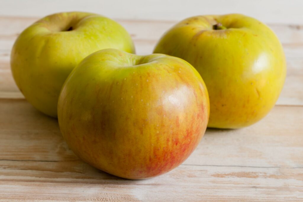Reife 'Bramley' Äpfel