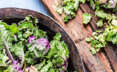 Flower Sprout: Anbau, Ernte & Verwendung des Trendkohls