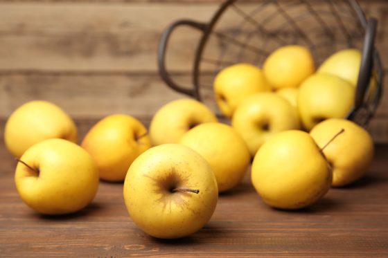Golden Delicious: Der Klassiker unter den Apfelsorten