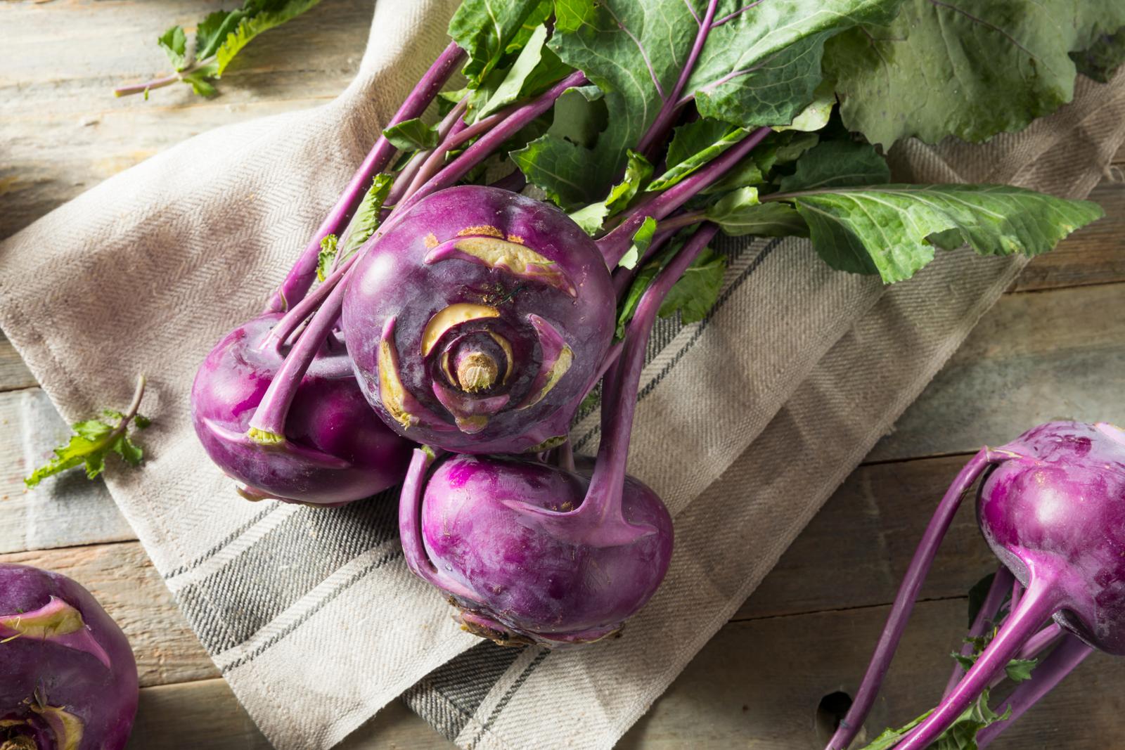 Kohlrabi pflanzen: Kohlrabi im eigenen Garten anbauen - Plantura