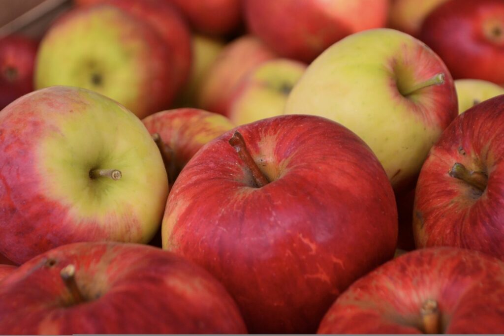Äpfel der Sorte Öhringer Blutstreifling