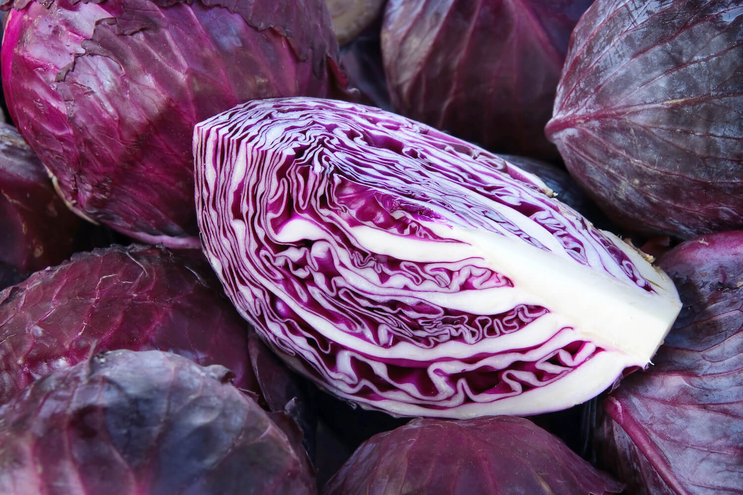 Rotkohl