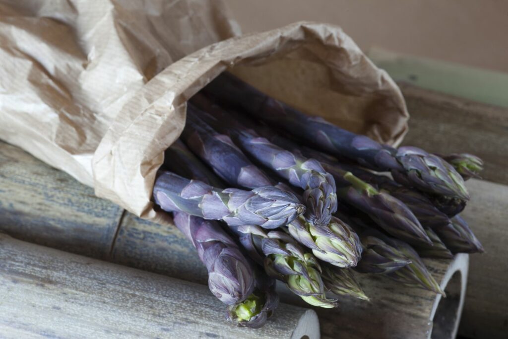 Violetter Spargel