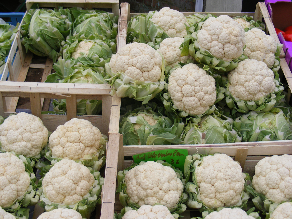 Blumenkohl anbauen und aus dem eigenen Garten ernten Plantura