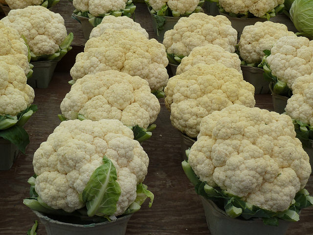 35+ Blumenkohl Pflanzen Kaufen, Bei einer keimtemperatur von 18 bis
