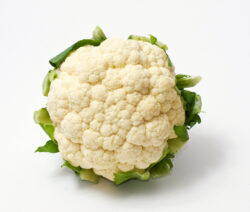 Blumenkohl Weißer Hintergrund