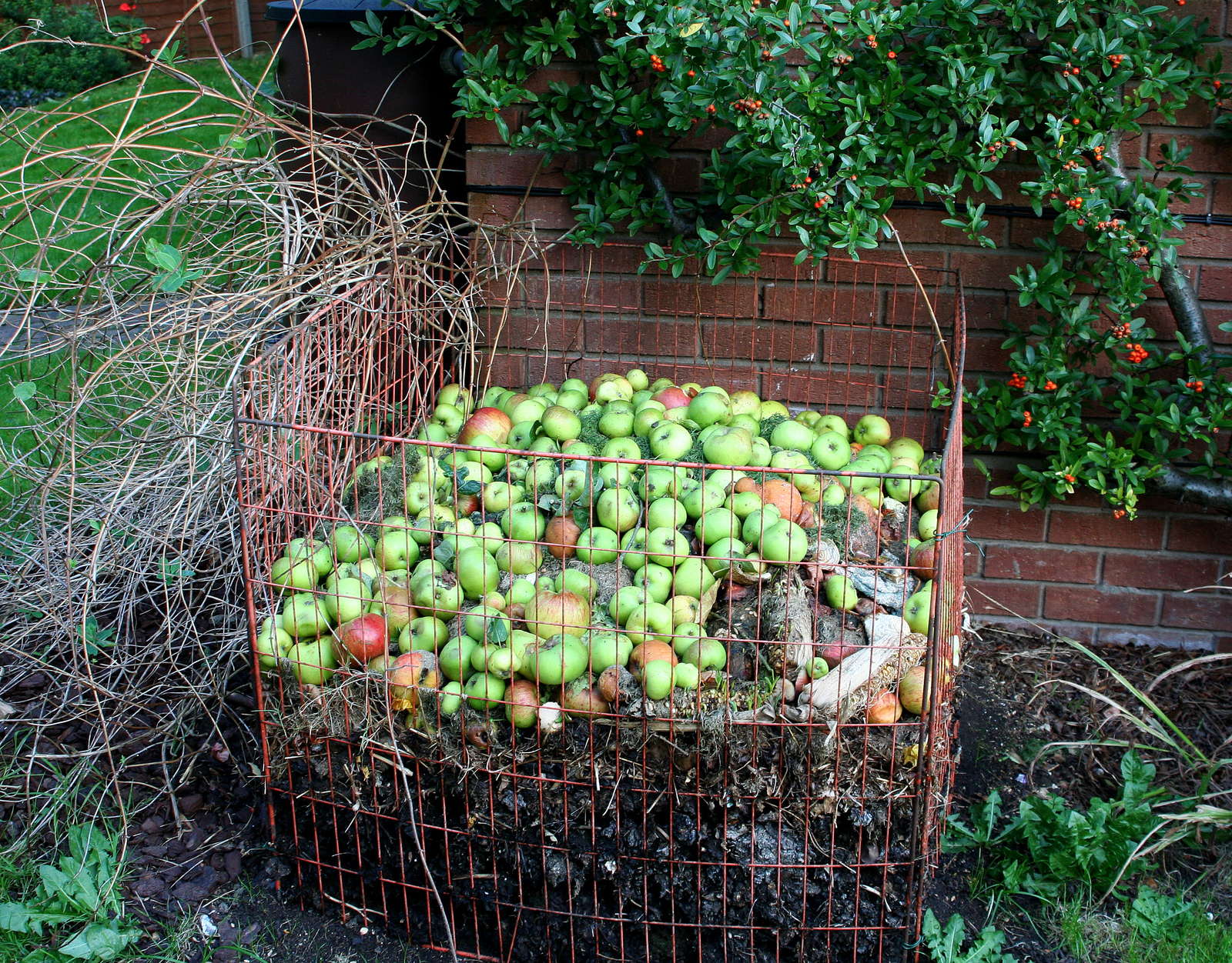 Kompost im Garten Warum jeder einen haben sollte Plantura