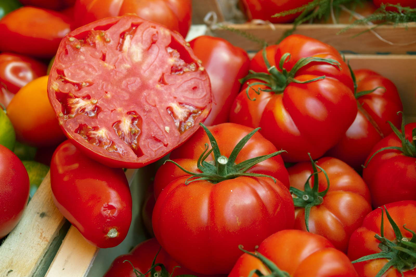 Tomatensorten Die 50 besten altbewährten & neuen Sorten Plantura