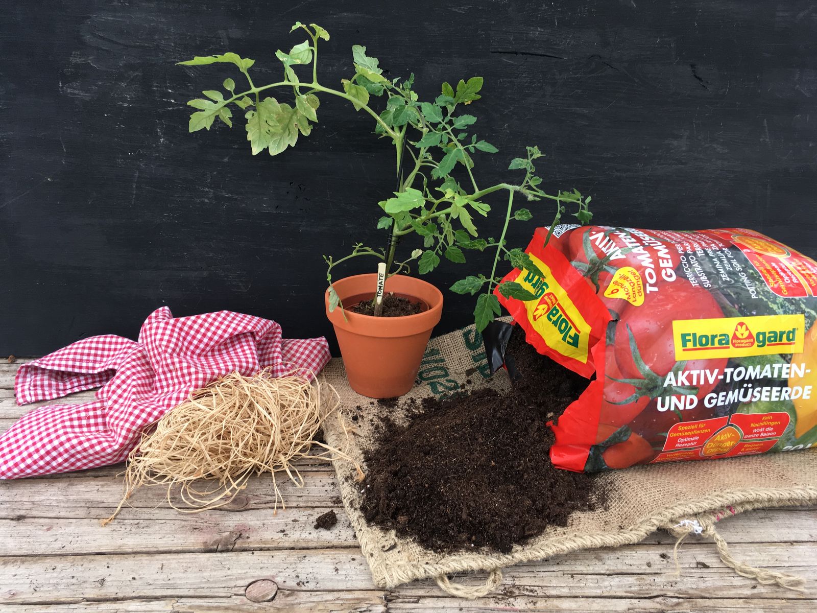 Tomaten Anbau auf Terrasse und Balkon Plantura