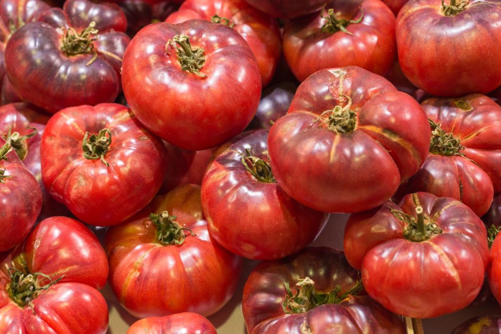 Tomatensorte Schwarze Krim