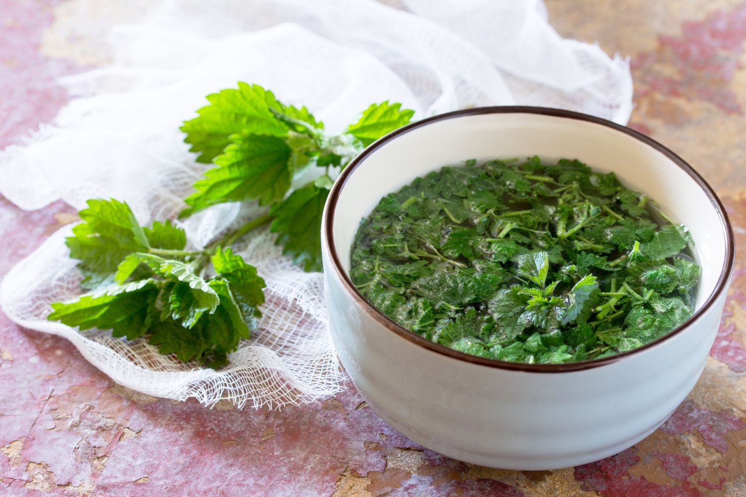 Brennnesseljauche und Ackerschachtelhalmtee: Bewährter Dünger für den Garten