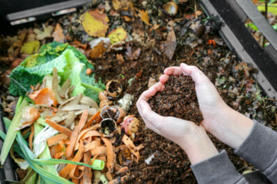 Kompost im Garten: Warum jeder einen haben sollte