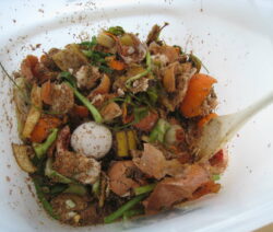 Bokashi Anfang