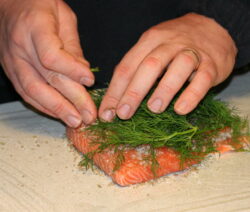 Graved Lachs Mit Dill