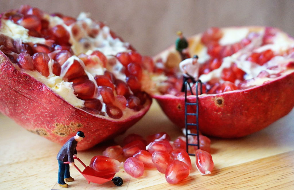 Hybridsaatgut Samenstand Granatapfel