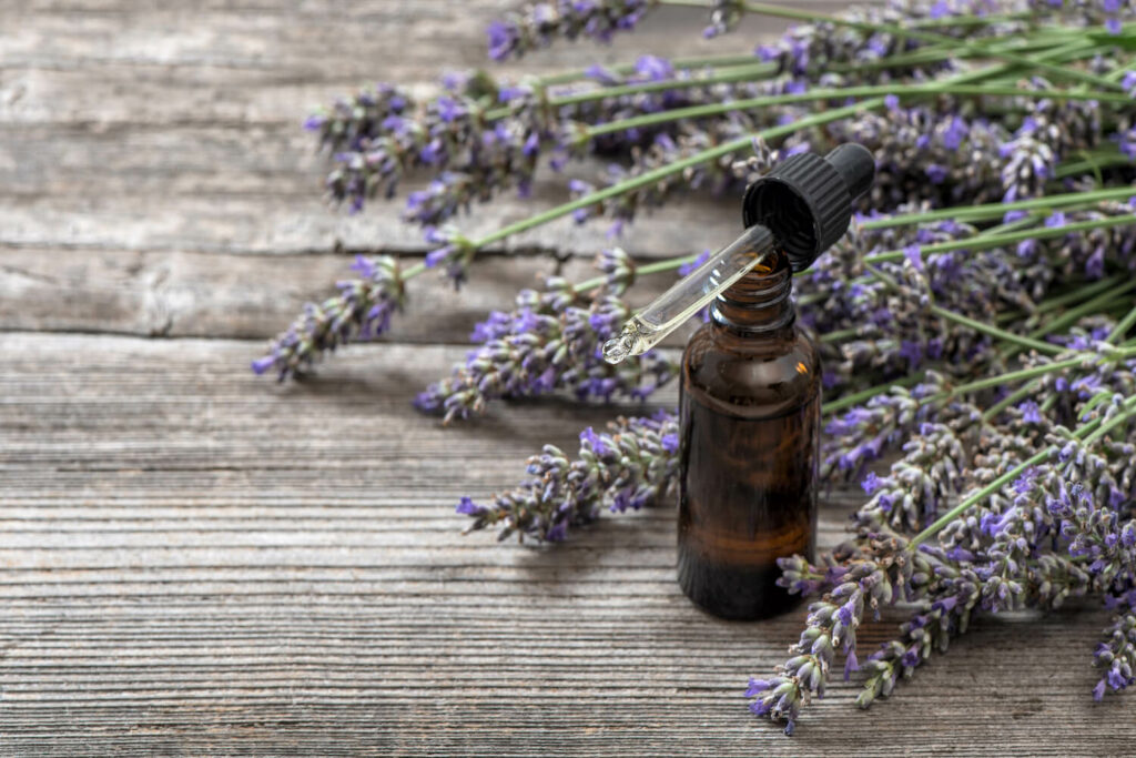 Fläschchen Lavendelöl und frischer Lavendel