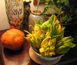 Zitrone Buddhas Hand Opfergabe