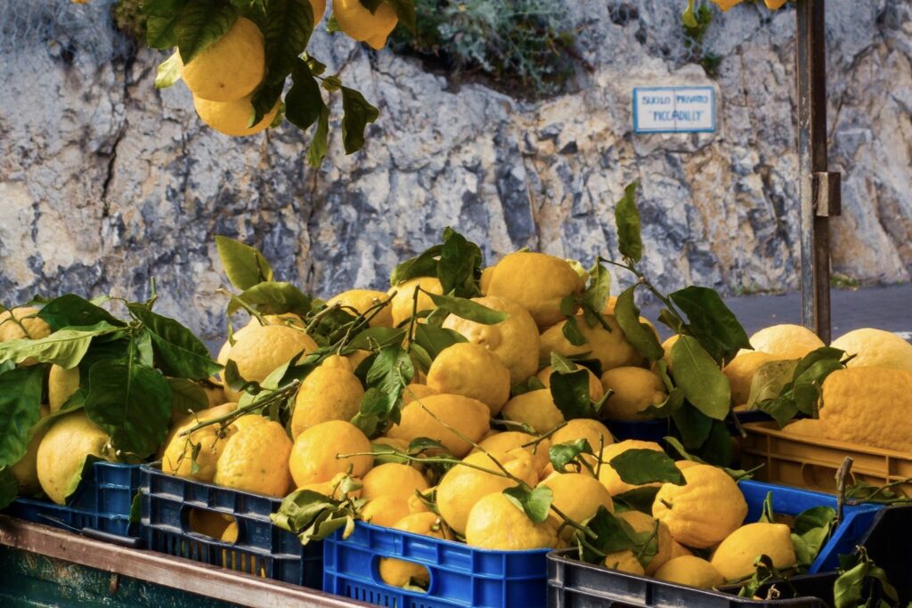 Amalfi-Zitronen zum Verkauf