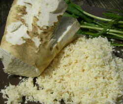 Geraspelter Meerrettich