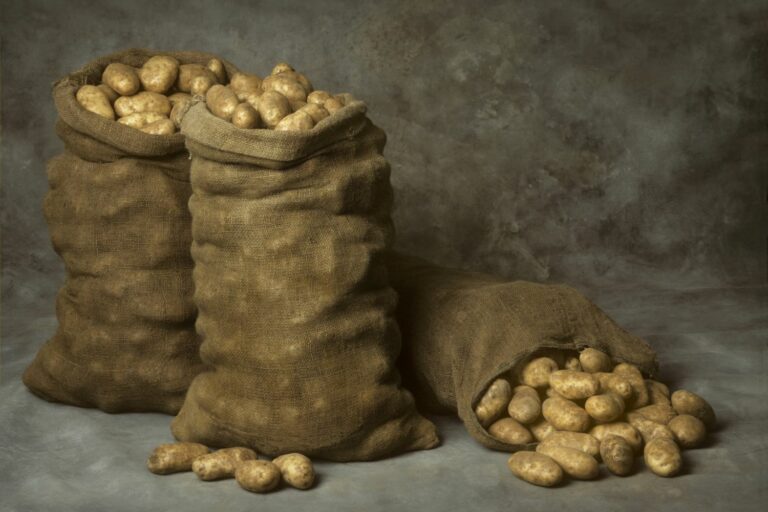 Kartoffeln richtig lagern & aufbewahren - Plantura