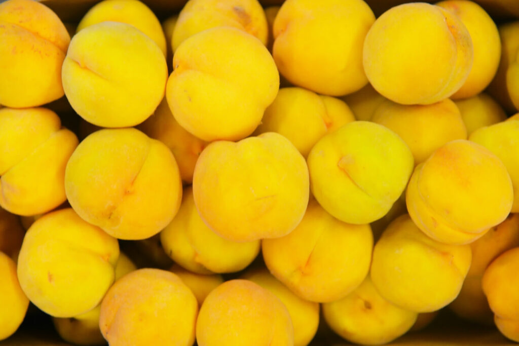 gelbe Peacherine