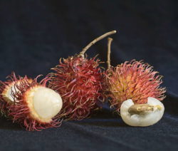 Rambutan Früchte Nahaufnahme