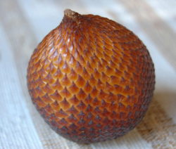 Salacca Zalacca Frucht Salak Nahaufnahme