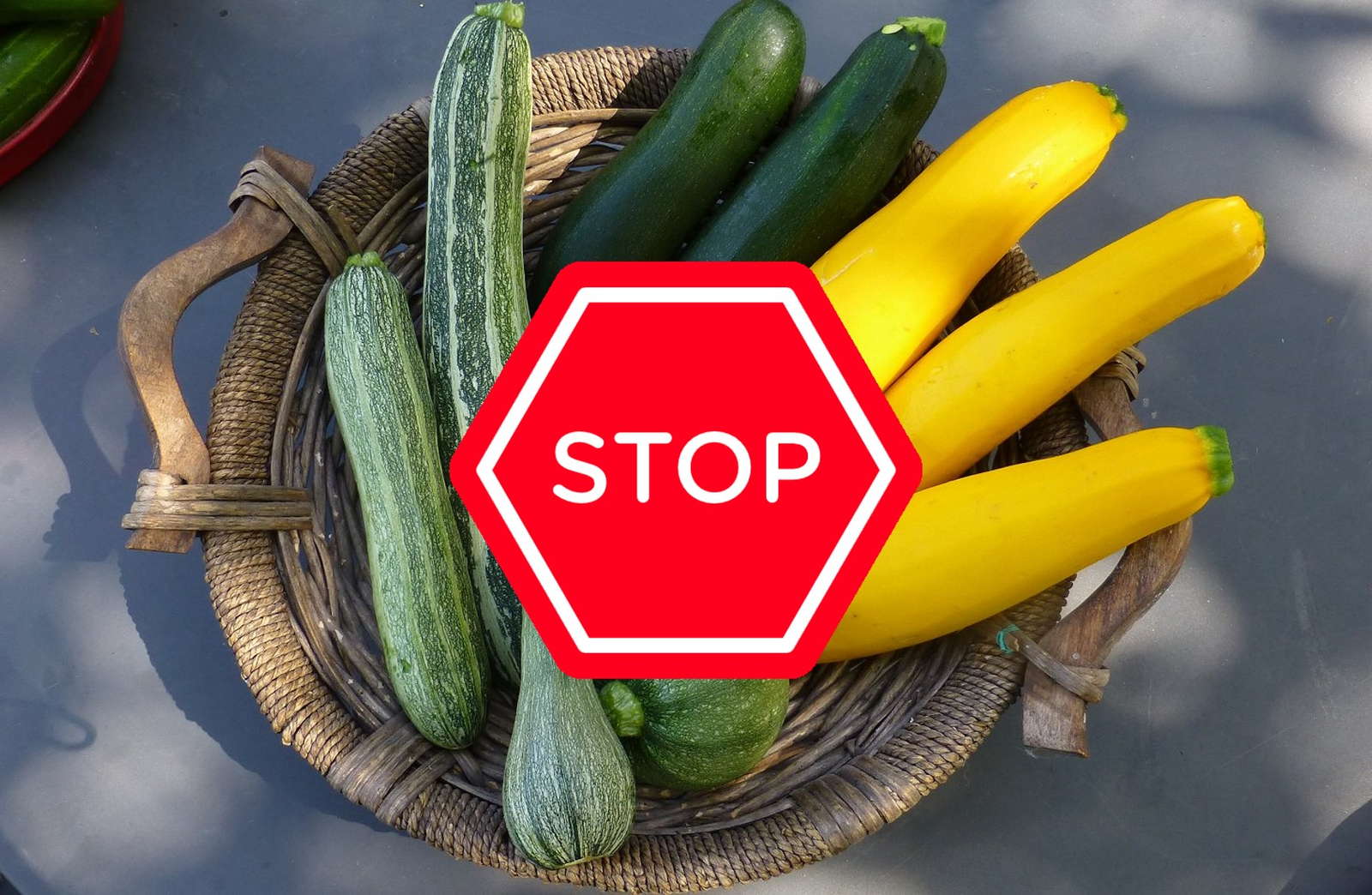 Die Zucchini und das tödliche Cucurbitacin Plantura