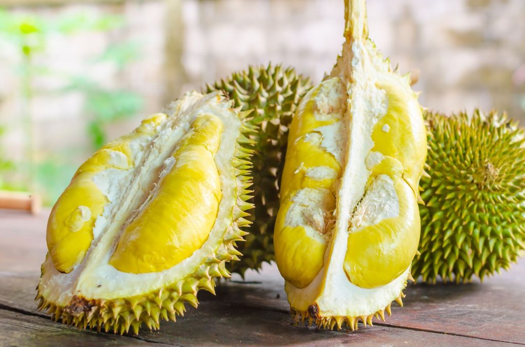 Durian oder Stinkfrucht