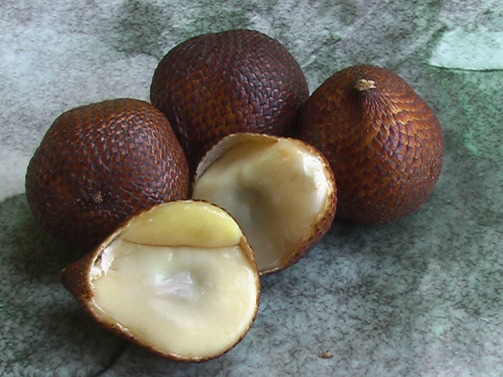 geöffnete Salak Fruchtfleisch
