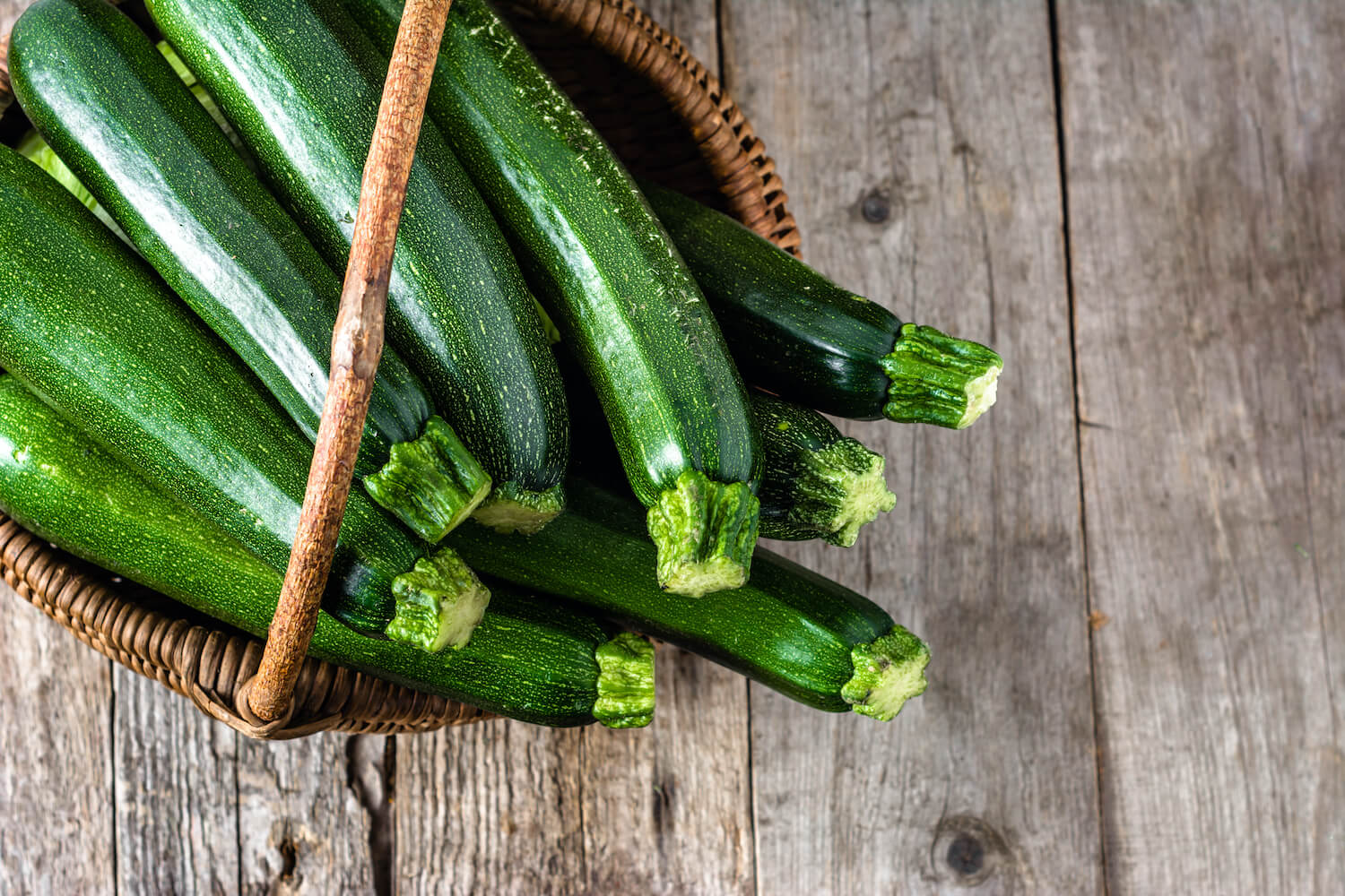 Warum bittere Zucchini giftig sein können Plantura