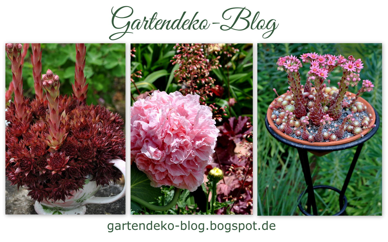 Gartendeko-Blog (1)