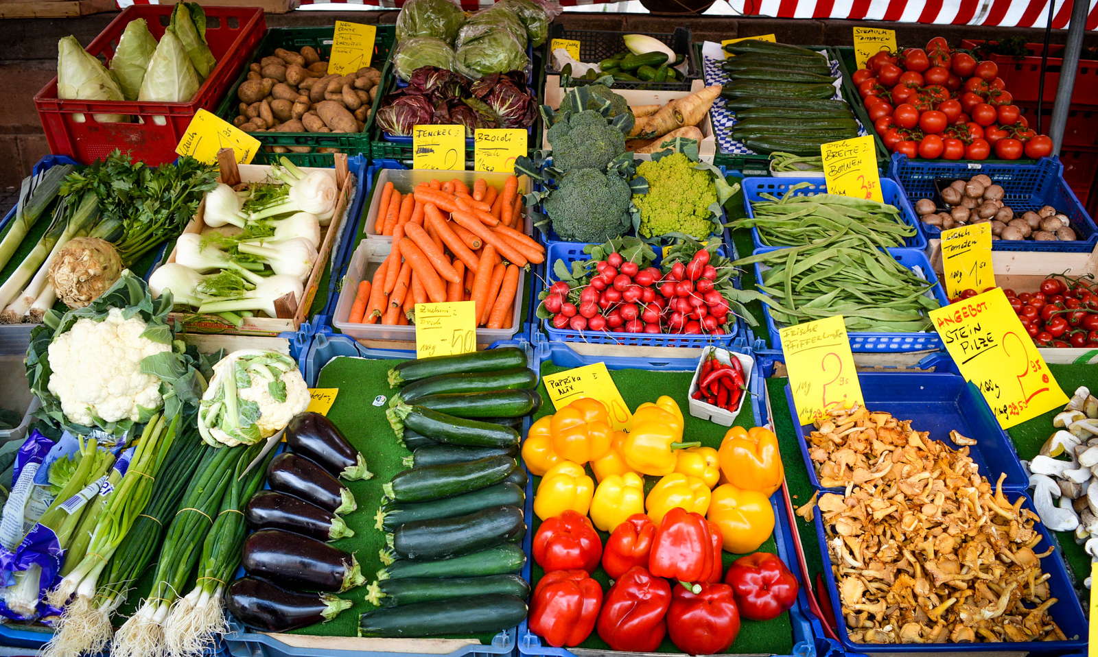 10 Portionen Obst und Gemüse am Tag?! Plantura