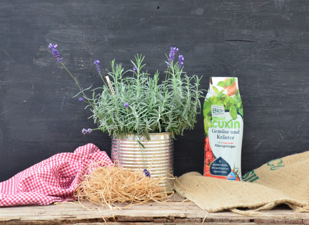 Lavendel Cuxin Gemüse Kräuter Dünger Jutesack Strohwolle Lavendel in Topf