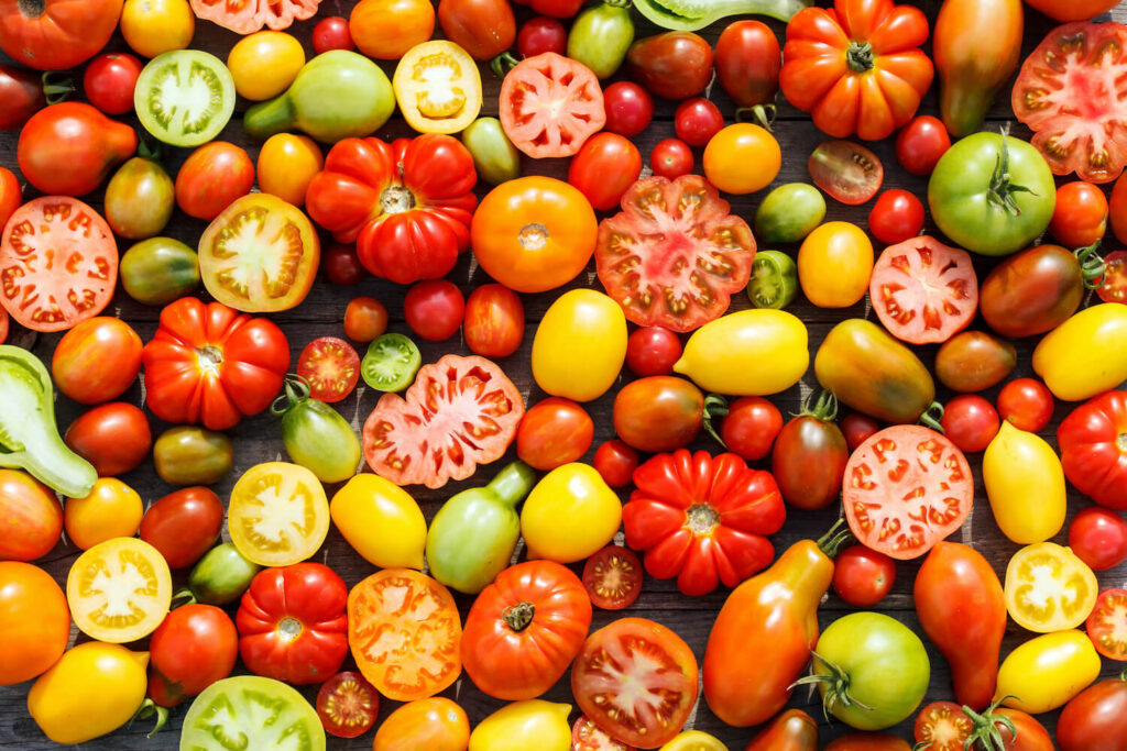Verschiedene bunte Tomatensorten
