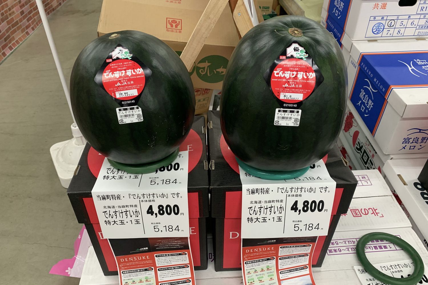 Wassermelone Densuke